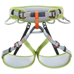 Climbing Technology ASCENT HARNESS - Klettergurt