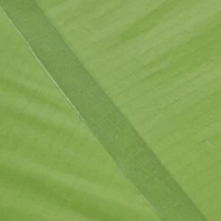 VAUDE LIZARD SEAMLESS 1-2P - Einpersonenzelt -Outdoor-Ausrüstungsgeschäft 5637736447 af power lizard seamless 12p cress green vaude 24