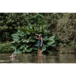 Grayl GEOPRESS PURIFIER - Trinkwasserfilter 15 Grayl GEOPRESS PURIFIER - Trinkwasserfilter -Outdoor-Ausrüstungsgeschäft 5637917282 f geopress purifier grayl 24