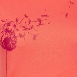 La Sportiva WINDY T-SHIRT W Damen 11 La Sportiva WINDY T-SHIRT W Damen -Outdoor-Ausrüstungsgeschäft 5638022639 f windy tshirt w la sportiva 24